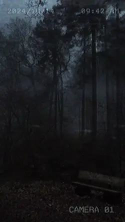 SCARY 2