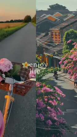 enjoy life