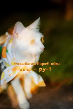 เพลง