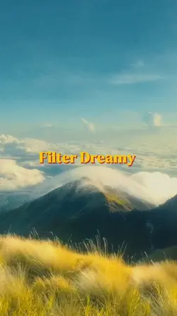 filter dreamy 