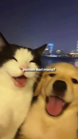 paman dari mana