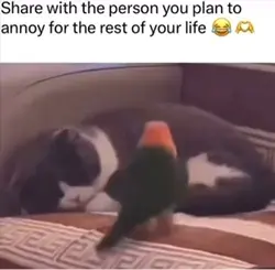 Funny