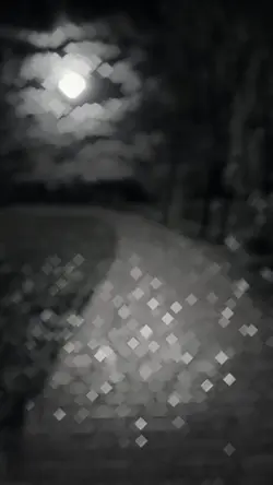 aesthetic videos
