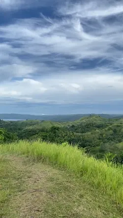 the view is