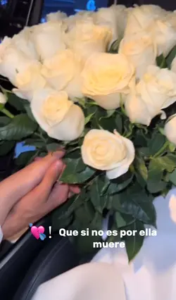 Flores💐