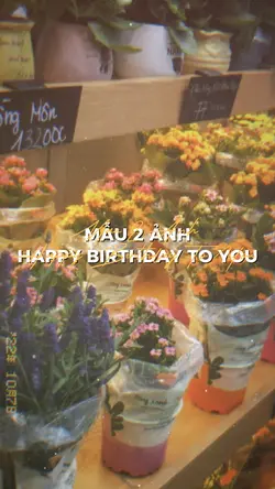 HAPPY BIRTHDAY TO