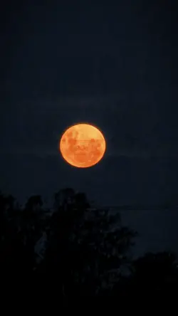 Full Moon -Pink Moon