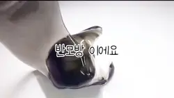 반모방