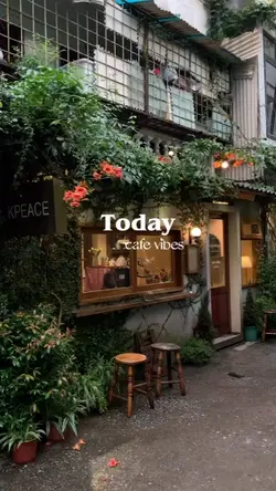 cafe vibes