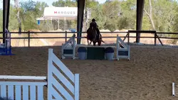 Lesson recap!
