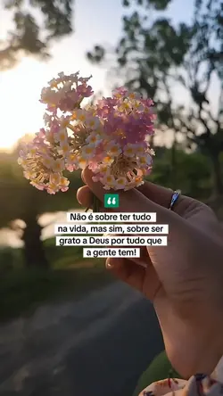 Gratidão 