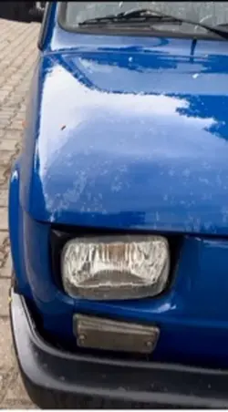 Goat car edit 