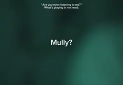 ‘Mully?’ NO.