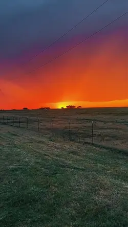 TAKE ME TO TEXAS