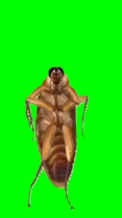 dancing cockroach 