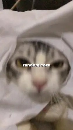 core 6 video aja 