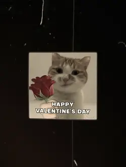 happy valentine's dy