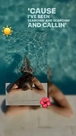 Summer☀️🌺