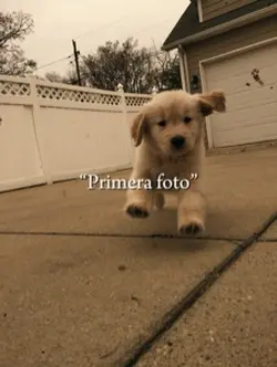 Última foto ❤️🩹