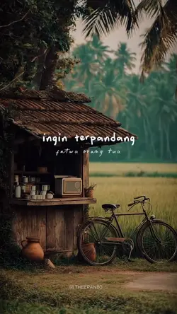 fatwa orang tua