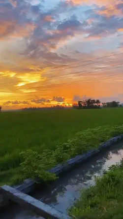 Foto Terbang