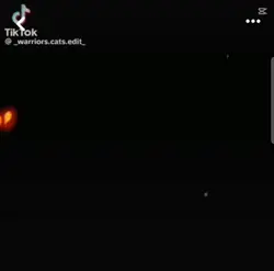 rysuje się?