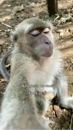 Aiai kkkk