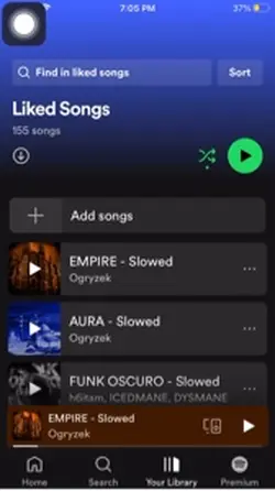 bro..phonks