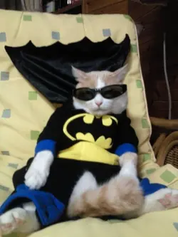 SUPERHERO MO