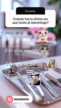 Encuesta divertida 