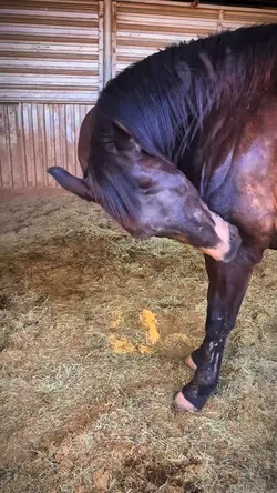 itchy boy 😭 