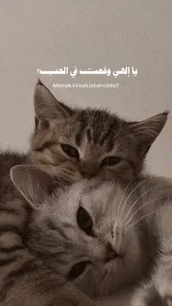 Alamak versi Arabic 