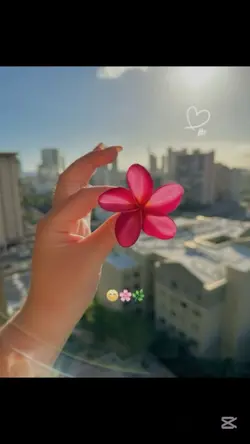 voice video 