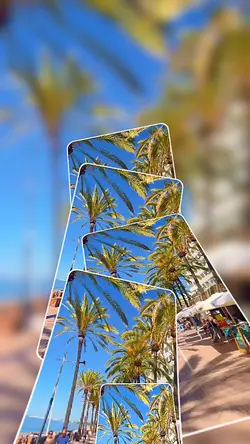 4 Clips Template 