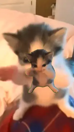 Kicau Mania Kucing 3