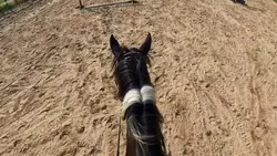 go-pro vid