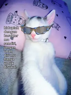 foto live kata kata