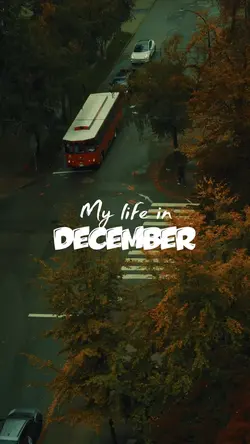 My life in december