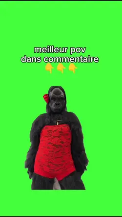 meme singe