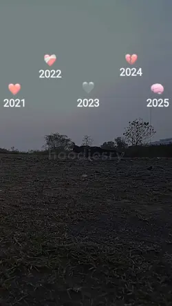 Sigma • 2025