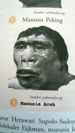 manusia Aceh 