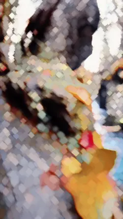 New slow motion