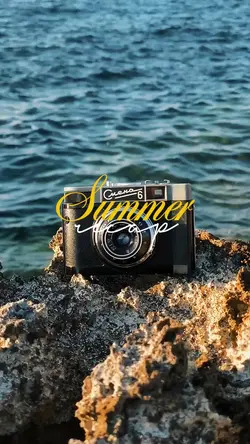 summer recap