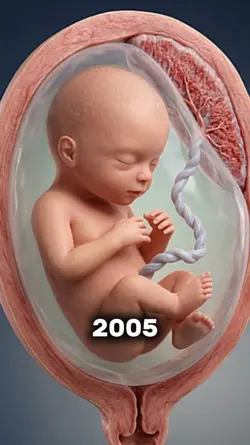 2005 vs 2026