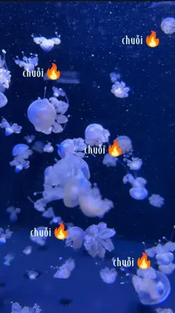 chuỗi đê...
