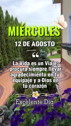 Miércoles 12 Agosto