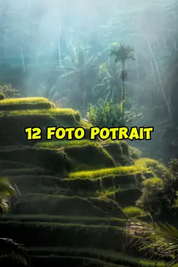 12 foto potrait