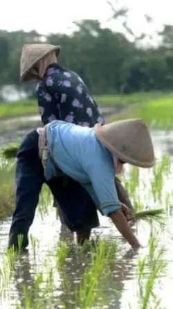 kata" madura