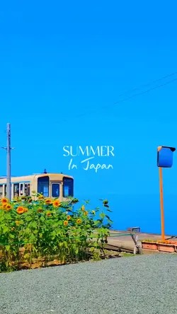summer in japan