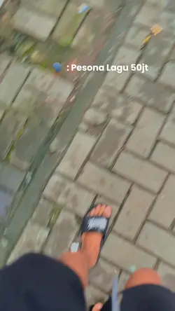 Aku datang Melamarmu